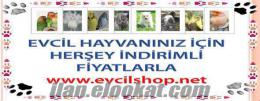 yüzlerce ürün indirimde kuş, balık, köpek, kedi, kemir