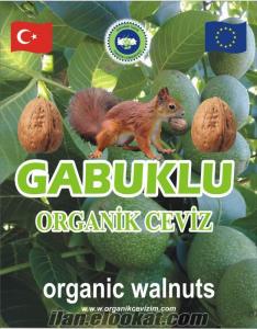 Edirnede ceviz istyenler