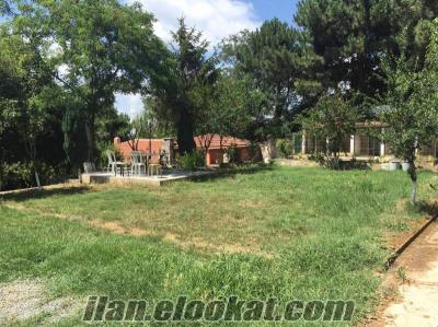 İstanbul Sancaktepe pet otel
