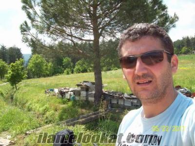 Vadeli koyun keci sürüsü ariyorum