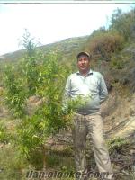 stareks kamyonetimle iş arıyorum..