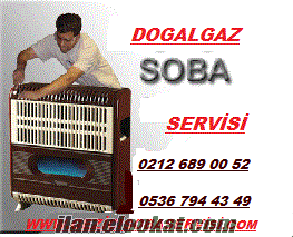 sliver dogalgaz sobası servisi
