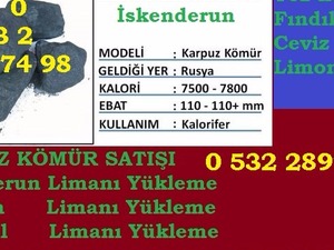 Safi,Yılyak,Karyak,kömür,Bayiler,satışı,fiyatları,bamak,kömürü,Gaziantep,İstanbul,Ankara,