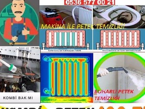 Buharlı petek diş temizliği denizli