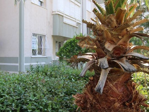 EGEKENT 2 MERKEZDE satılık 3+1 DAİRE AS GAYRİMENKUL
