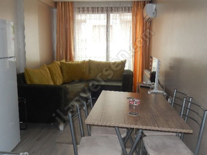1+1 50m2