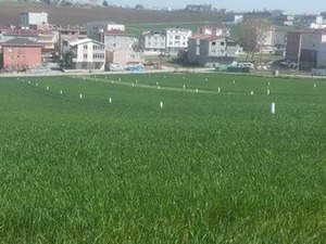 Türkoba Mah. emlak fiyatları