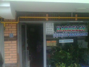 Konut Semt pazarı Erbaa
