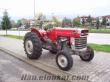 1977 MODEL 165 MASSEY FERGUSON