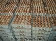 Toptan Satiş Köy Yumurtasi Dogal Taze Yumurta Fiyat 0.45Kuruş