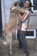 Bulgaristan kangal çifliğinden yavrular www.dog-ejdan.com