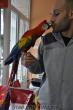 scarlet ara macaw bebeklerrr