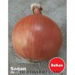 Balkan Soğan Tohumu 1 Kg - 110 TL