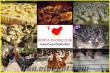 Civciv Yarka Tavuk Hindi Pekin Ördeği Tüm İllere Ücretsiz Kargo