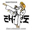 menemen taekwondo ilçe spor müdürlüğü