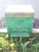 bursa arı kovanı bursada sahibinden satılık 20 kovan arı 24 lük sandıklar