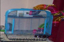 Kocaeli Çook Uygun Satılık Hamster Kafesi