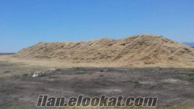 satılık temiz topraksız arpa buğday samanı 300 ton