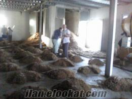 istiridye mantarı kompost pastorize sistemleri