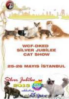 WCF-DKED SİLVER JUBİLEE CAT SHOW İSTANBUL 25-26 Mayıs 2013