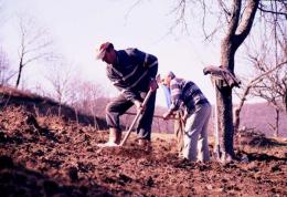 Bahçede Çalışacak Emekli Karıkoca Aranıyor