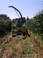 gaziantepte satlık arazi Gaziantepte sahibinden satlık traktörü ile birlikte 4 sıralı mısır slaj makinası