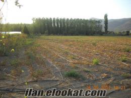 izmir, bayındırda sahibinden satılık 1.derecede tarım arazisi