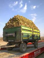 traktör kabinleri Muşda romörk satılık