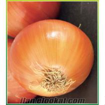 Eren Soğan Tohumu 1 Kg - 110 TL