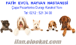 istanbul hayvan hastanesi