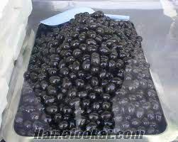 satılık siyah zeytin