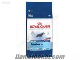 boncukvet Royal canin maxi junior 18 kg.