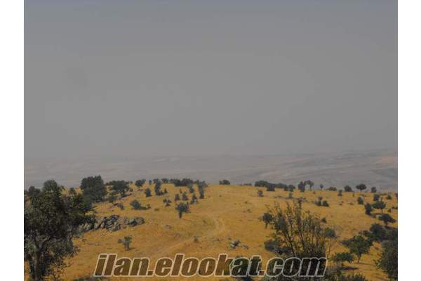 ülger emlak çankaya karataş