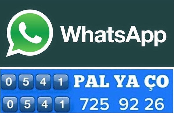 ANKARADA PALYAÇO ARANIYOR