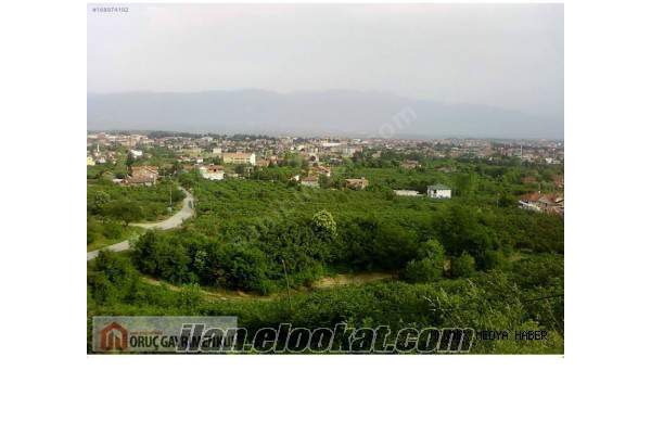 hendek bayraktepe mah de satılık arsa 7 dönüm