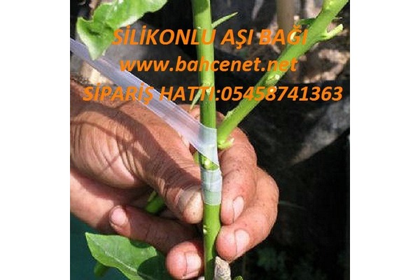 silikonlu aşı bağı