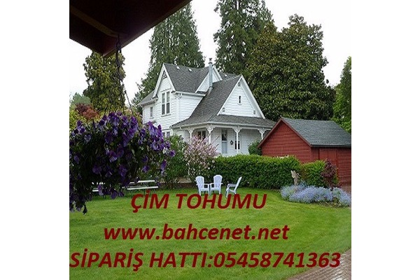 Susuzluğa dayanıklı çim tohumu,susuzluğa_dayanıklı_çim_tohumu,kurağa dayanıklı çim tohumu