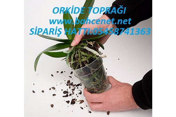 Satılık orkide toprağı