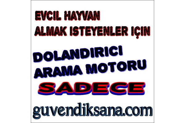 köpek ilanlari Makşempınarı Köyü