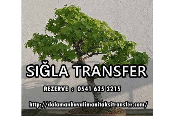 Dalaman Havalimanı Transfer,Dalaman Transfer,Dalaman Havaalanı taksi transfer,