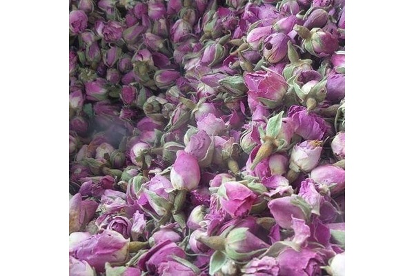 Gül yaprağı Tomurcuk Gül