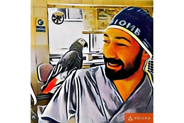 diş protez iş arıyorum