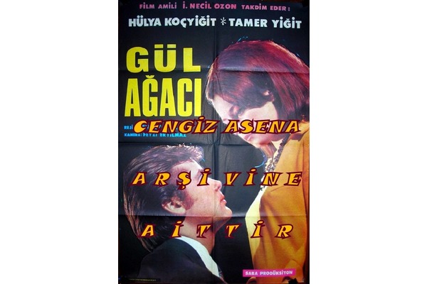 GÜL AĞACI YEŞİLÇAM SİNEMA AFİŞİ FOTO 68x98