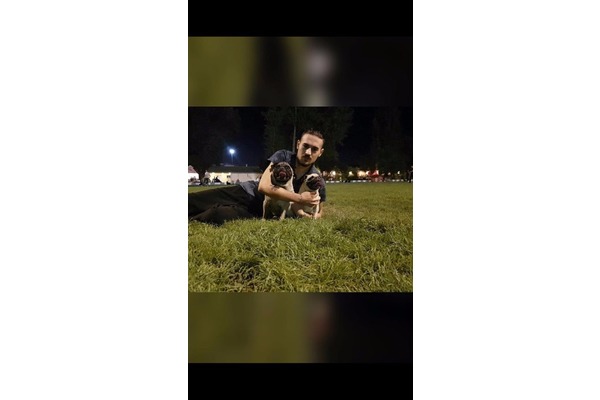 Yeşilova Mah. köpek ilanı