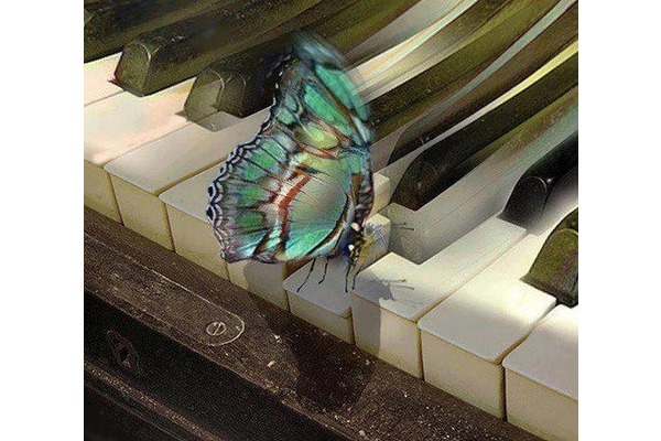 piyanist arıyorum mu dediniz işte alo düğün nişan kına pianisti telefonu tüm istanbulda her semtte hizmet