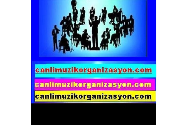 alo piyanist müzisyen trio artı ses sistemi kiralama istanbul düğün orkestrası