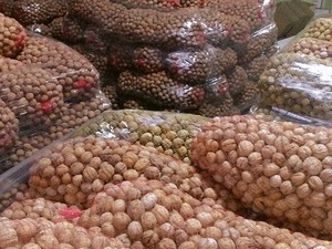  Sell walnut harvest in Ukraine 2016-2017