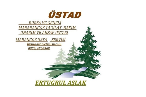BURSA ATA EVLERDE MARANGOZ MOBILYA TAMIRAT TADILAT USTASI