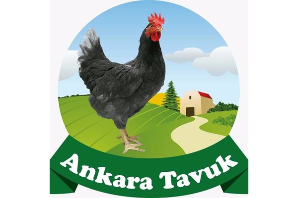 Saraç Köyü hayvanlar ilanı