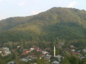  Arsa Yeşiltepe Köyü satilık